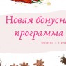Бонусная программа: 1 бонус = 1 рубль